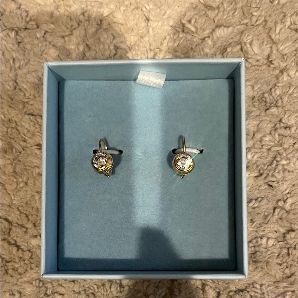 NWT Hart Bezel Drop Earrings